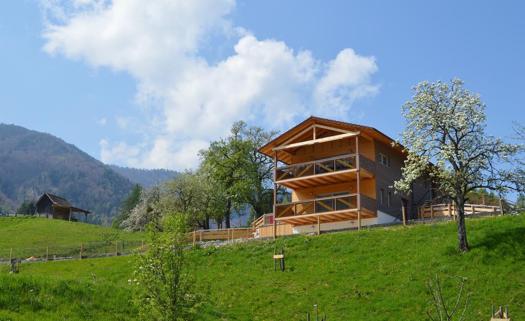 Ferienhaus Schwarzenbach Steinbach am Ziehberg Εξωτερικό φωτογραφία